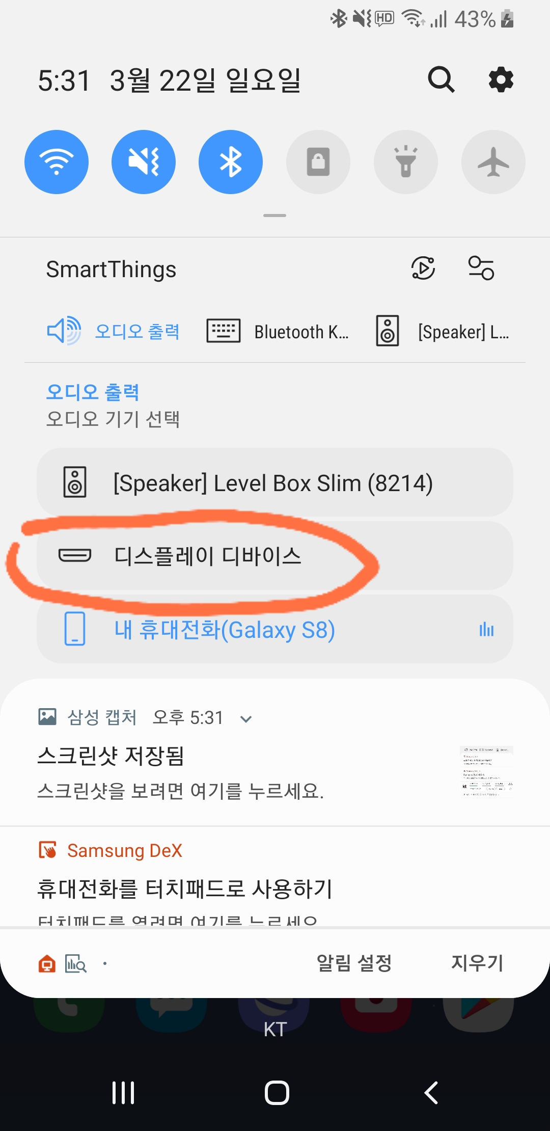 오디오 설정