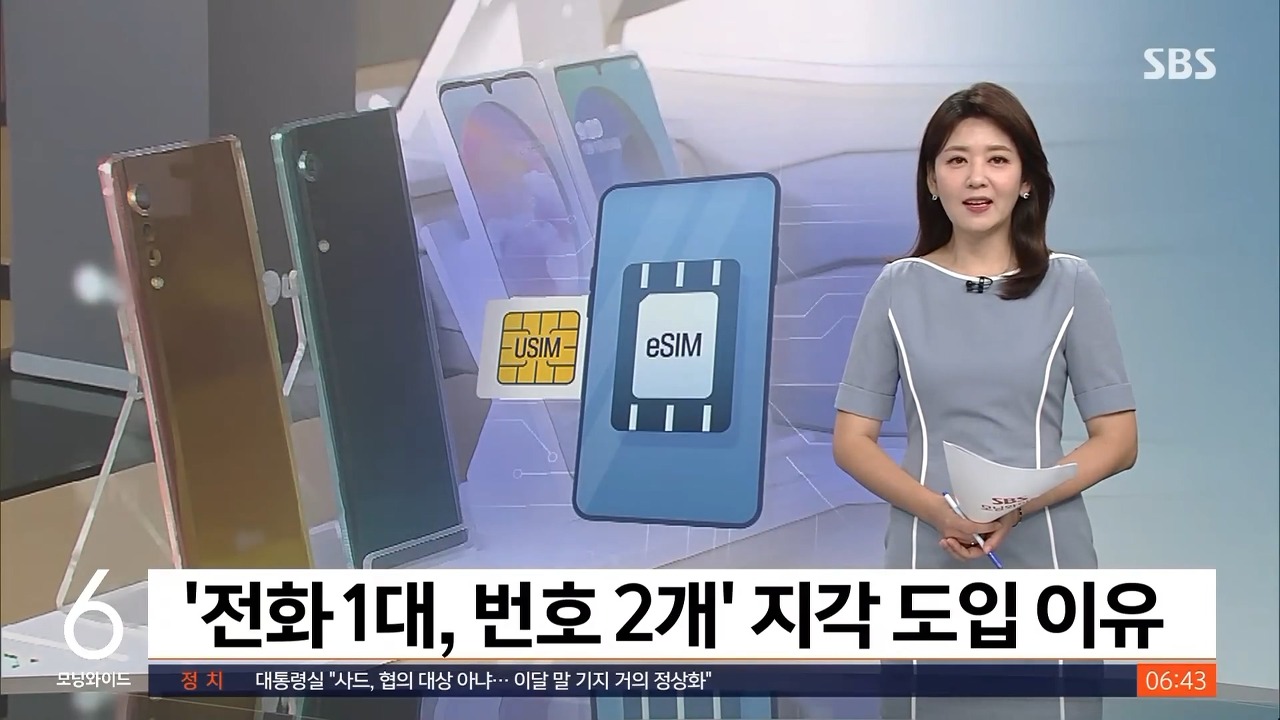 eSIM 늦은 도입